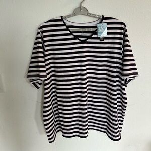 Liz & Me Women’s Short Sleeve Striped Top with V  Neckline NWT

Size 4X 

NWT